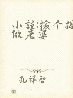 小说:捡个总裁做老婆