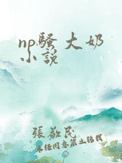 np骚 大奶 小说