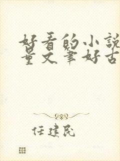 好看的小说高质量文笔好古言