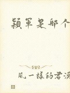 颖军是哪个军阀