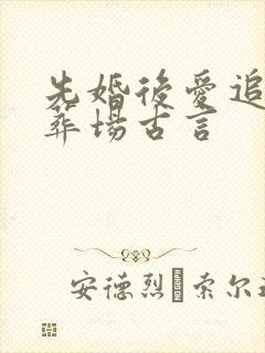 先婚后爱追妻火葬场古言