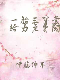 一胎三宝爹地超给力免费阅读全文