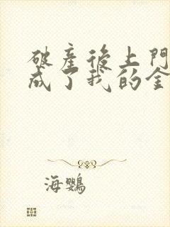 破产后上门老公成了我的金主小说