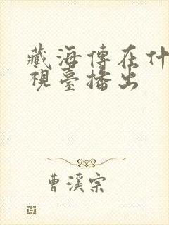 藏海传在什么电视台播出