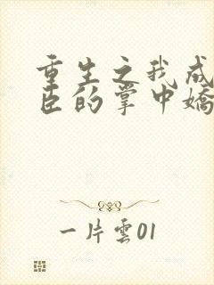 重生之我成了权臣的掌中娇 小说