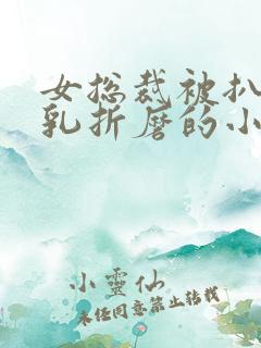 女总裁被扒开双乳折磨的小说