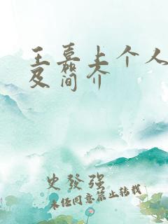 王嘉上个人资料及简介