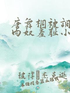 唐舞桐被调教成肉奴羞耻小说