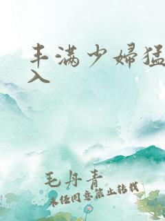 丰满少妇猛烈进入