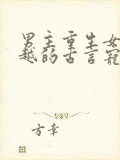 男主重生女主穿越的古言宠文