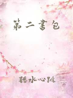 第二书包