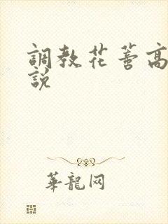 调教花蒂高潮小说