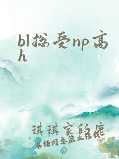bl总受np高h
