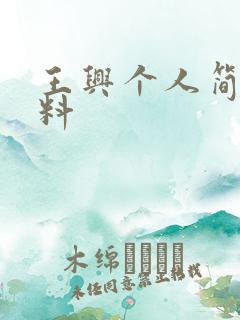 王兴个人简介资料