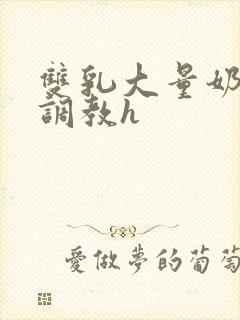 双乳大量奶乳开调教h