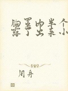 胸罩内半个奶都露了出来小说