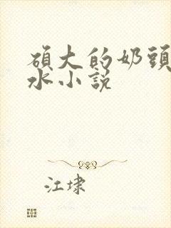硕大的奶头喷奶水小说