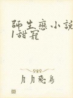 师生恋小说1v1甜宠