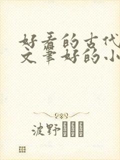 好看的古代言情文笔好的小说