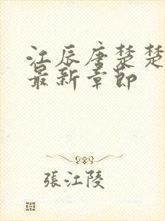 江辰唐楚楚结局最新章节