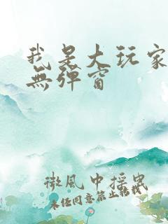 我是大玩家小说无弹窗