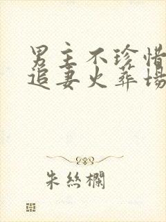 男主不珍惜女主追妻火葬场