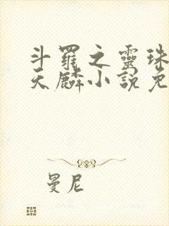 斗罗之灵珠神剑天麟小说免费阅读全文无窗口