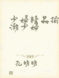 少妇精品揄拍高潮少妇