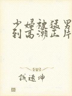 少妇被猛男蹂躏到高潮正片