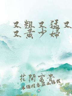 又粗又猛又大爽又黄少妇