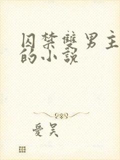 囚禁双男主生子的小说