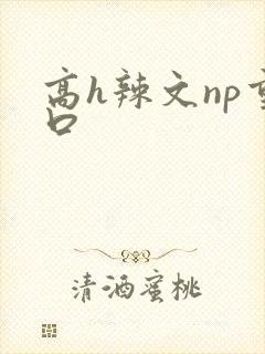 高h辣文np重口
