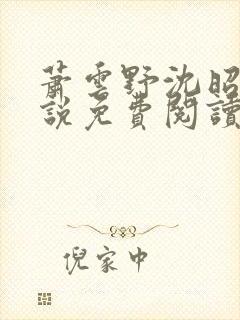 萧云野沈昭宁小说免费阅读最新章节