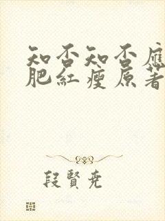 知否知否应是绿肥红瘦原著