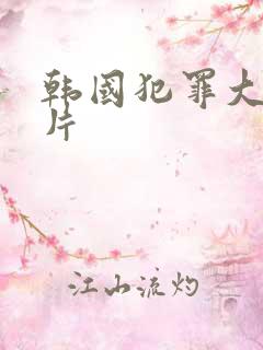 韩国犯罪大尺度片