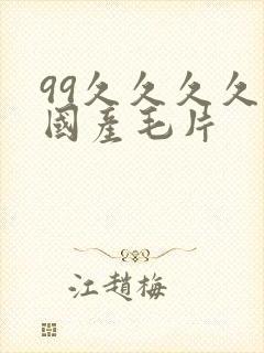99久久久久久国产毛片