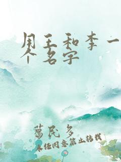 用王和李一起取个名字