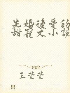 先婚后爱的古言甜宠文小说