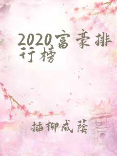 2020富豪排行榜