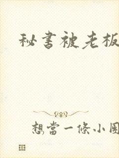 秘书被老板爆操