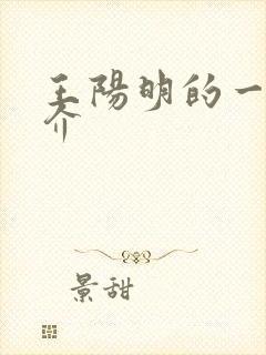 王阳明的一生简介