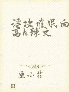 淫攻催眠向np高h辣文