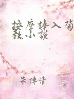 按摩棒入菊穴调教小说