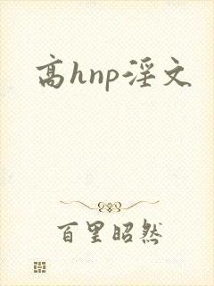 高hnp淫文