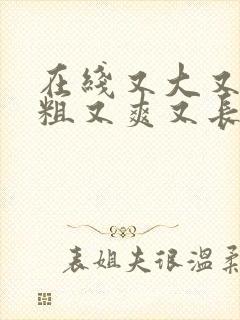 在线又大又硬又粗又爽又长视频