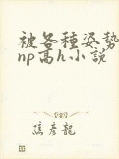 被各种姿势玩弄np高h小说