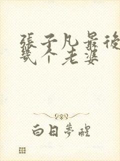 张子凡最后娶了几个老婆