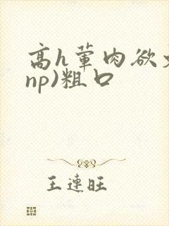 高h荤肉欲文(np)粗口