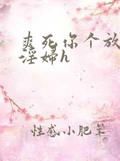 爽死你个放荡小淫妇h