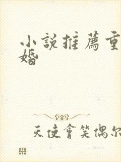 小说推荐重生军婚